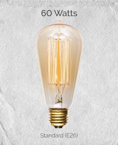 60 Watt Incandescent Edison Bulb