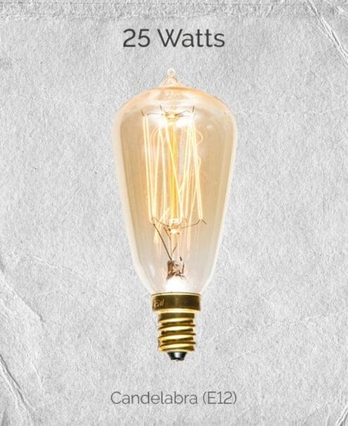 25 Watt Incandescent Candelabra Edison Bulb