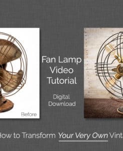 Fan Lamp Video
