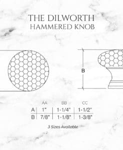 The Dilworth Hammered Knob