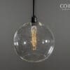 Seed Glass Globe Pendant Light
