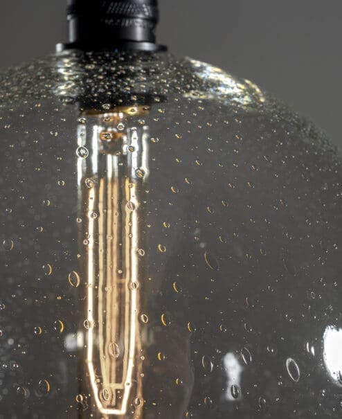 Seed Glass Globe Pendant Light