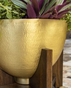 Botanica Chalice Planter-5