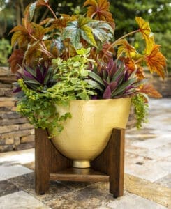 Botanica Chalice Planter-7