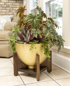 Botanica Chalice Planter-Inside