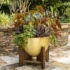 Botanica Chalice Planter