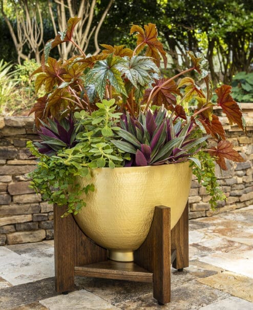 Botanica Chalice Planter