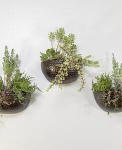 Hammered Wood Wall Planter
