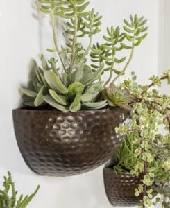 Hammered Wood Wall Planter