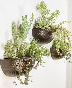 Hammered Wood Wall Planter