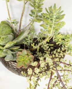 Hammered Wood Wall Planter