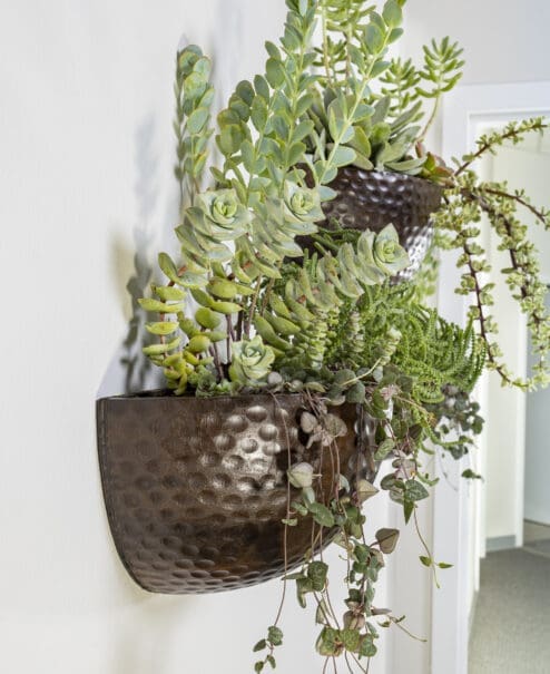Hammered Wood Wall Planter