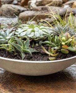 Concrete Planter